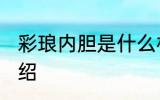 彩琅内胆是什么材质 彩琅内胆材质介绍