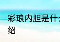 彩琅内胆是什么材质 彩琅内胆材质介绍