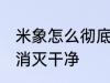米象怎么彻底消灭干净 米象如何彻底消灭干净