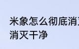 米象怎么彻底消灭干净 米象如何彻底消灭干净