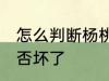 怎么判断杨桃坏没坏 如何判断杨桃是否坏了