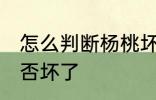 怎么判断杨桃坏没坏 如何判断杨桃是否坏了