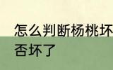 怎么判断杨桃坏没坏 如何判断杨桃是否坏了