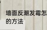 墙面反潮发霉怎么处理 墙面反潮发霉的方法