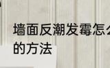 墙面反潮发霉怎么处理 墙面反潮发霉的方法