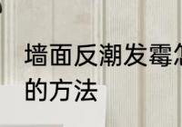 墙面反潮发霉怎么处理 墙面反潮发霉的方法