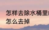 怎样去除水桶里的青苔 水桶里的青苔怎么去掉