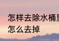 怎样去除水桶里的青苔 水桶里的青苔怎么去掉