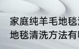 家庭纯羊毛地毯清洗方法 家庭纯羊毛地毯清洗方法有哪些