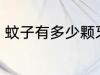 蚊子有多少颗牙 蚊子有多少颗牙的呢