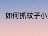 如何抓蚊子小妙招 抓蚊子的好方法