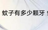 蚊子有多少颗牙 蚊子有多少颗牙的呢