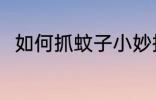 如何抓蚊子小妙招 抓蚊子的好方法