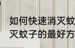 如何快速消灭蚊子的最好方法 快速消灭蚊子的最好方法