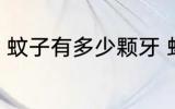 蚊子有多少颗牙 蚊子有多少颗牙的呢
