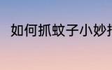 如何抓蚊子小妙招 抓蚊子的好方法