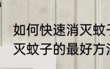 如何快速消灭蚊子的最好方法 快速消灭蚊子的最好方法