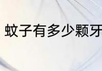 蚊子有多少颗牙 蚊子有多少颗牙的呢