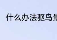 什么办法驱鸟最好 驱鸟的方法介绍