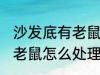 沙发底有老鼠抓不到怎么办 沙发底有老鼠怎么处理