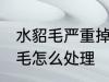 水貂毛严重掉毛怎么办 水貂毛严重掉毛怎么处理
