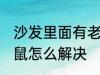 沙发里面有老鼠怎么办 沙发里面有老鼠怎么解决