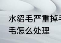 水貂毛严重掉毛怎么办 水貂毛严重掉毛怎么处理