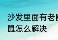 沙发里面有老鼠怎么办 沙发里面有老鼠怎么解决