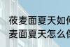莜麦面夏天如何保存可以晒太阳吗 莜麦面夏天怎么保存可不可以晒太阳
