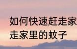 如何快速赶走家里的蚊子 怎么快速赶走家里的蚊子