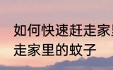 如何快速赶走家里的蚊子 怎么快速赶走家里的蚊子