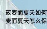 莜麦面夏天如何保存可以晒太阳吗 莜麦面夏天怎么保存可不可以晒太阳