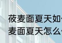 莜麦面夏天如何保存可以晒太阳吗 莜麦面夏天怎么保存可不可以晒太阳