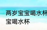 两岁宝宝喝水杯怎么选 怎么选两岁宝宝喝水杯