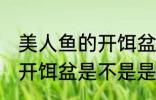 美人鱼的开饵盆是食品级吗 美人鱼的开饵盆是不是是食品级