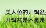 美人鱼的开饵盆是食品级吗 美人鱼的开饵盆是不是是食品级