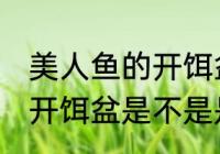 美人鱼的开饵盆是食品级吗 美人鱼的开饵盆是不是是食品级