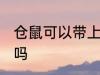 仓鼠可以带上飞机吗 仓鼠能带上飞机吗