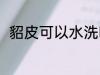 貂皮可以水洗吗 貂皮可不可以水洗