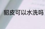 貂皮可以水洗吗 貂皮可不可以水洗