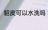 貂皮可以水洗吗 貂皮可不可以水洗