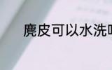 麂皮可以水洗吗 麂皮能水洗吗