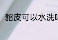 貂皮可以水洗吗 貂皮可不可以水洗