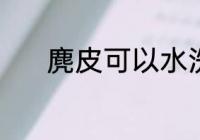 麂皮可以水洗吗 麂皮能水洗吗