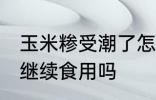 玉米糁受潮了怎么办 玉米糁受潮可以继续食用吗