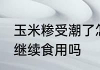 玉米糁受潮了怎么办 玉米糁受潮可以继续食用吗