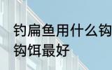 钓扁鱼用什么钩饵最好 钓扁鱼用哪种钩饵最好