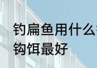 钓扁鱼用什么钩饵最好 钓扁鱼用哪种钩饵最好