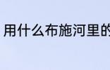 用什么布施河里的鱼最好 如何放生鱼