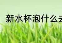 新水杯泡什么去味 新水杯泡啥去味